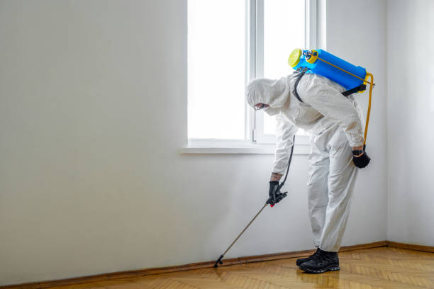 Pest Control for Warehouses in Clifton, NJ